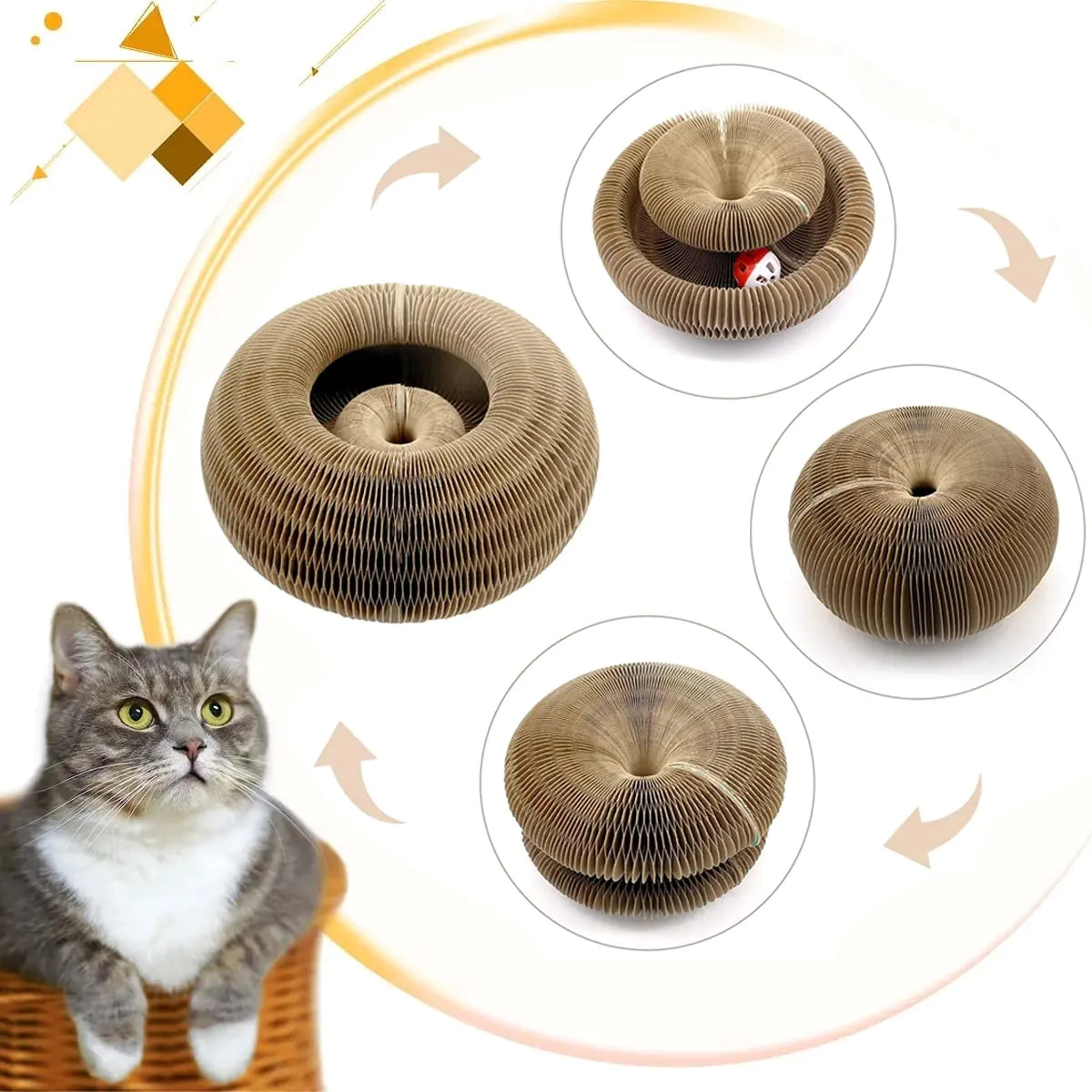 Juguete Mágico para Gatos Organ Cat Toy Scratcher