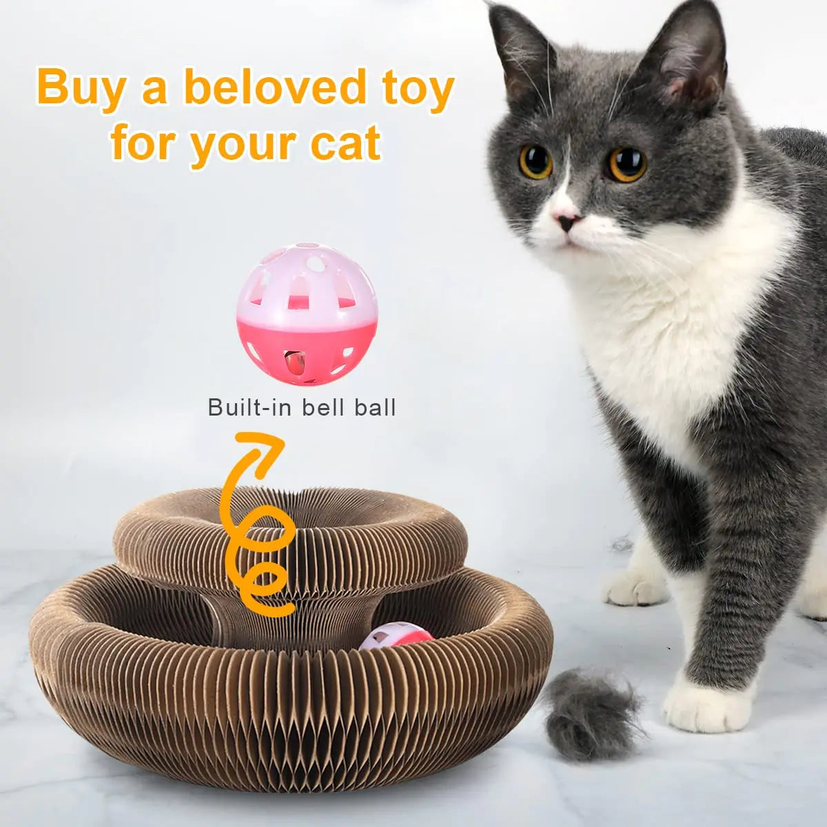 Juguete Mágico para Gatos Organ Cat Toy Scratcher